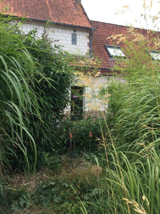 Le Clos Du Carpe Diem Cambligneul 外观 照片
